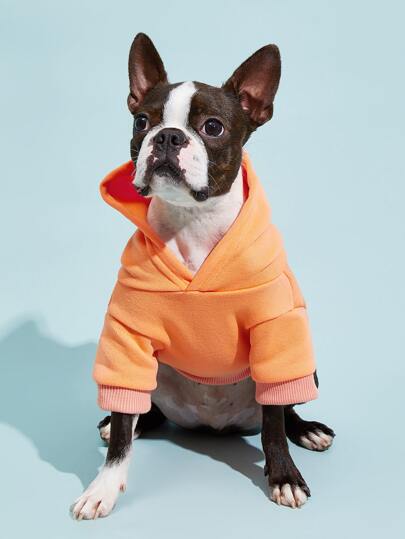 Orange-S