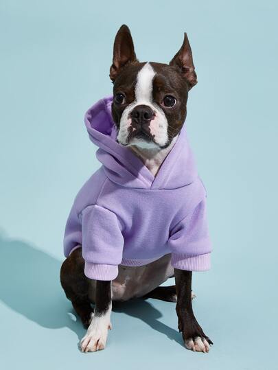 Purple-S