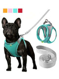 Multicolor-Green M