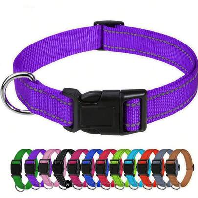 Purple-XS